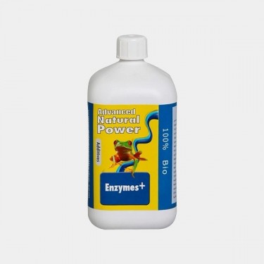 Enzymes +