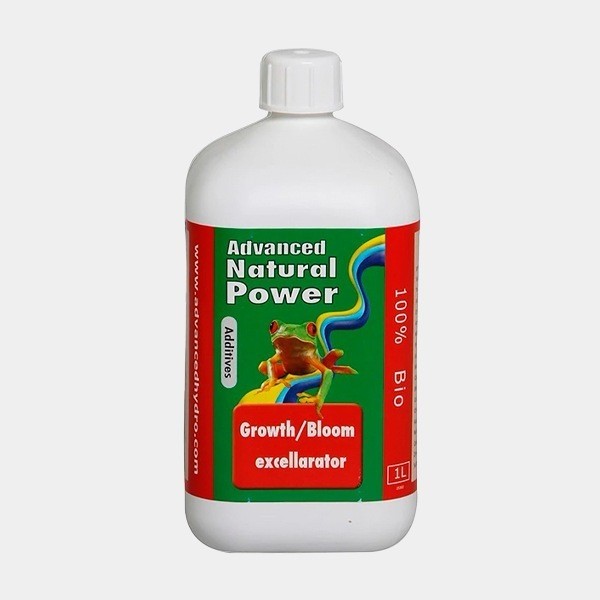 Growth/Bloom Excellarator