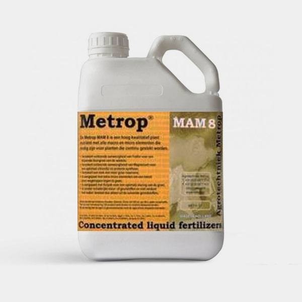 MaM 8 plantes mères