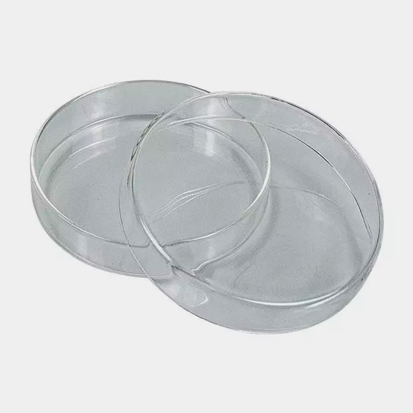 Voir Boîte de Petri pour la culture de champignons - GB The Green Brand