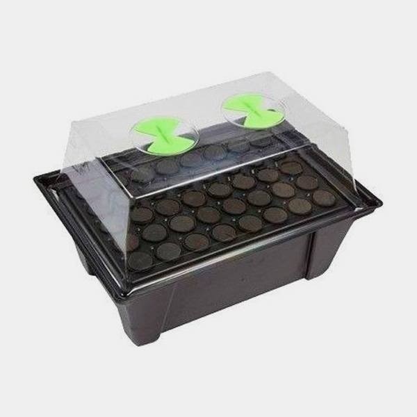 Propagateur X-Stream