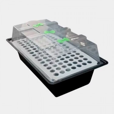 Propagateur X-Stream