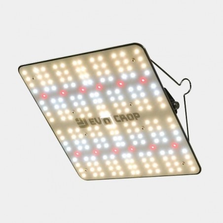 Acheter Panneau LED Wallace V1 120 W - GB