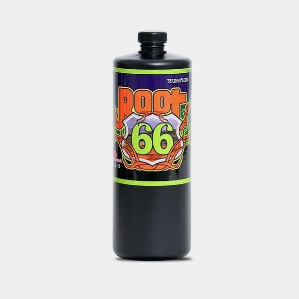 Root 66