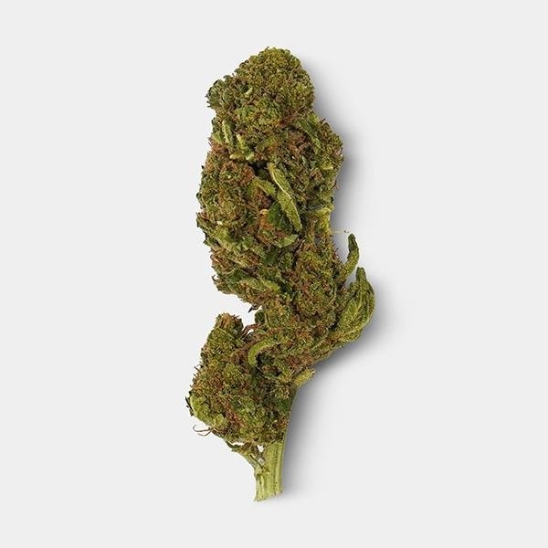 Fleurs CBD GB 'Los Santos Kush' bourgeon