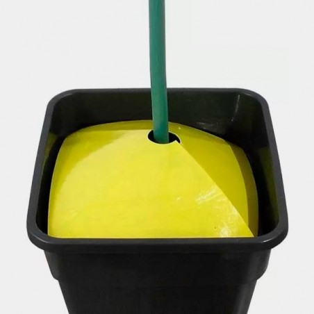 Pièges pour insectes rampants couleur jaune - Grow Barato