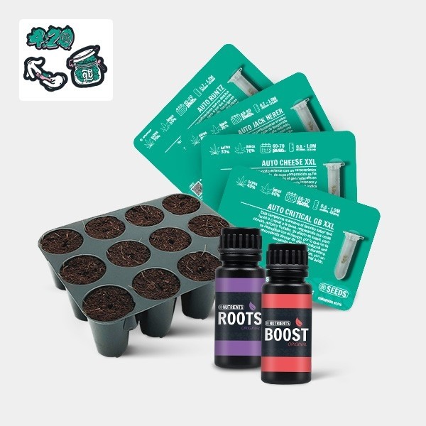 Voir GB Seeds Box Auto