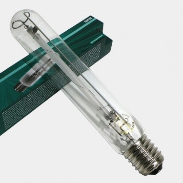 Ampoule Sylvania SHP-TS - Floraison