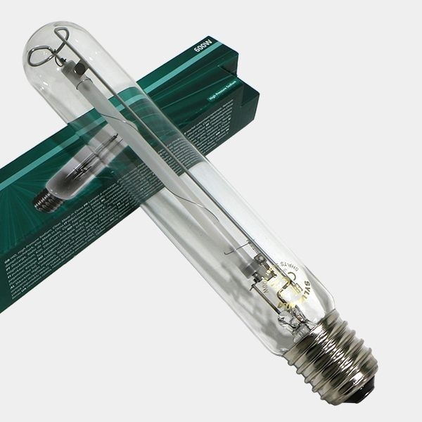 Ampoule Sylvania SHP-TS - Floraison