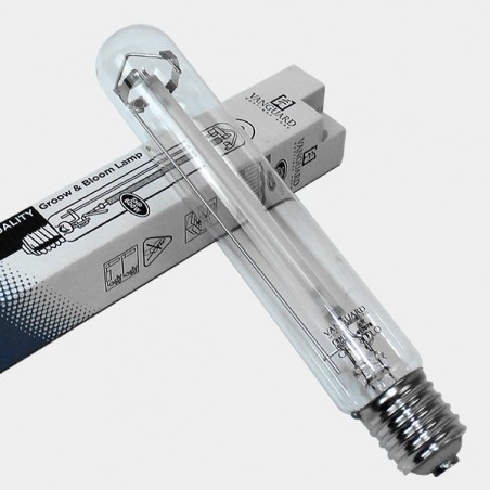 Ampoule Vanguard Horti Max 600W - Grow Barato