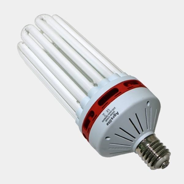 CFL Agrolite Basse Consommation - Floraison