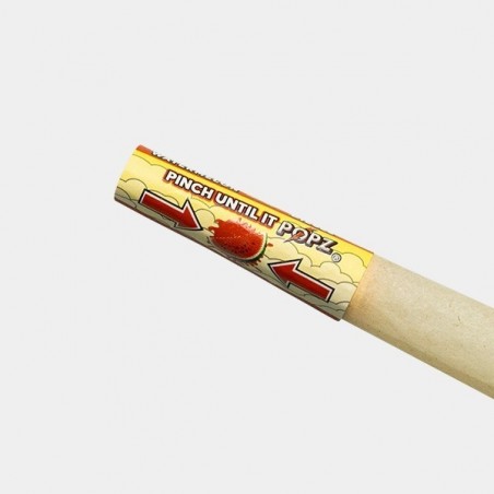 Cônes en chanvre King Size POPZ - GB The Green Brand