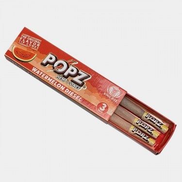 Cônes en chanvre King Size POPZ