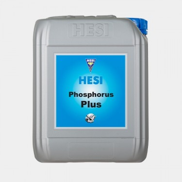 Phosphore Plus