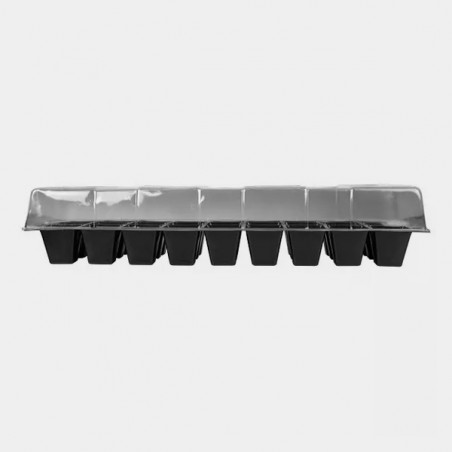 Kit germination The Green Brand + X-seed de B.A.C. - GB