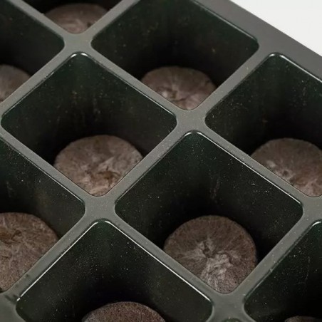 Kit germination The Green Brand + X-seed de B.A.C. - GB