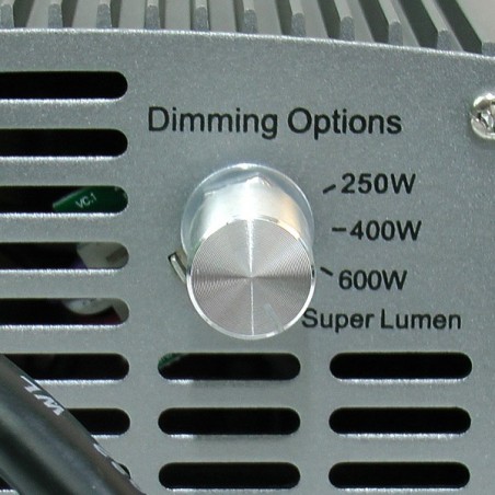 Ballast Électronique options