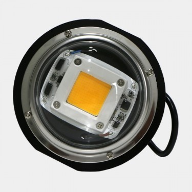 LED TX COB DOB Bulle - GB The Green Brand