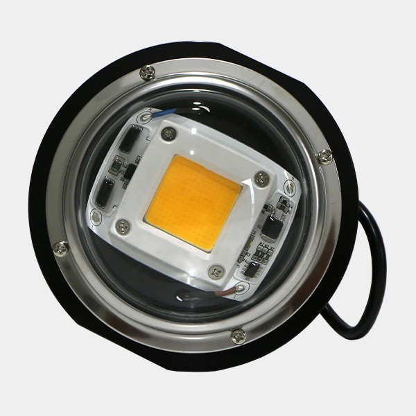LED TX COB DOB Bulle - GB The Green Brand