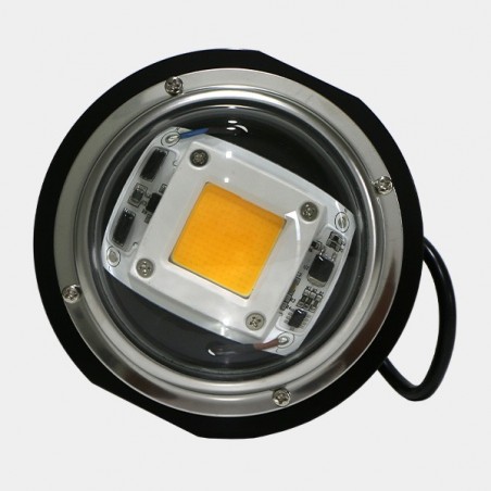 LED TX COB DOB Bulle - GB The Green Brand