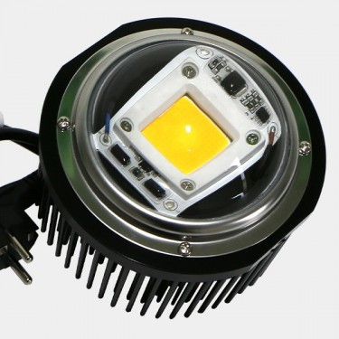 LED TX COB DOB Bulle - GB The Green Brand