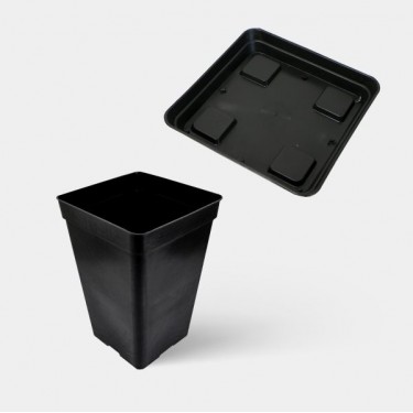 Kit complet avancé : pots et soucoupes livrés avec