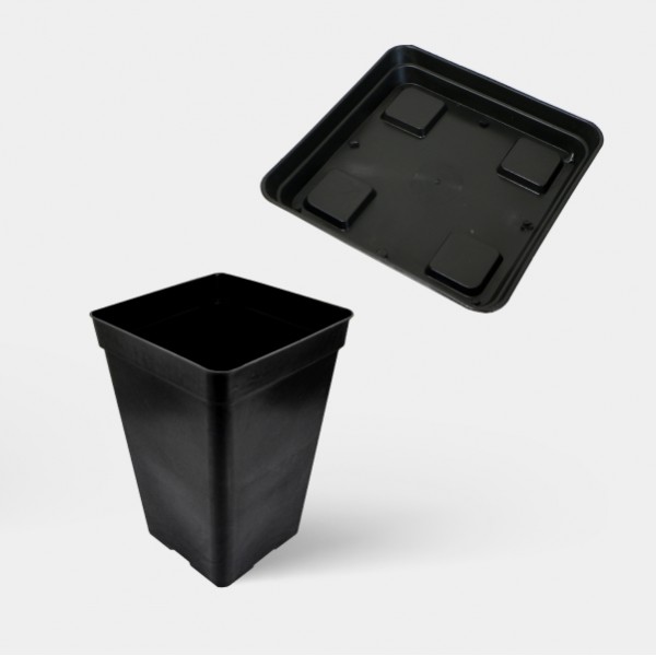 Kit Complet Vétéran Pots et soucoupes