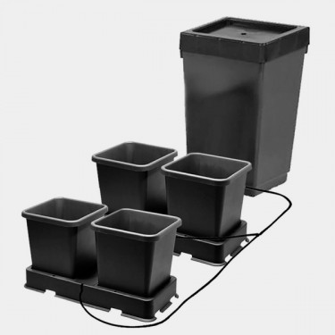 AutoPot - système d'arrosage par gravité - Grow Barato