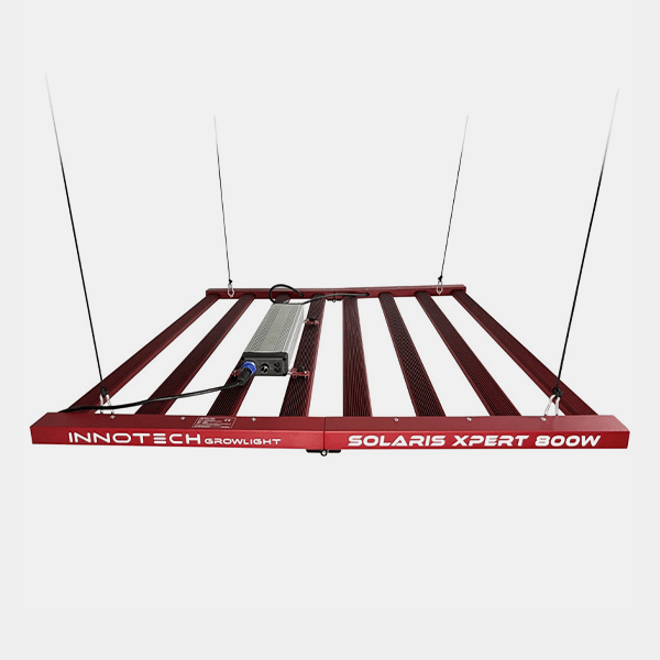 LED Solaris Xpert 800W Innotech - GB The Green Brand