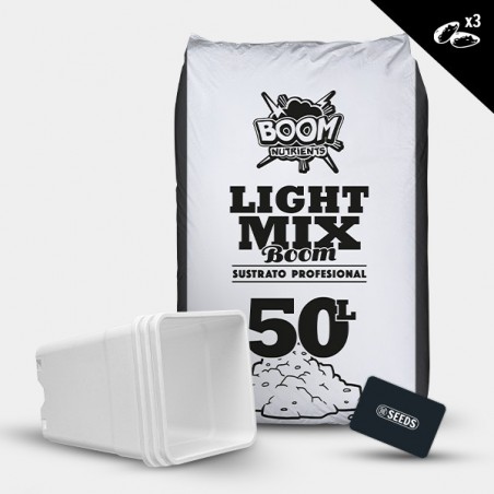 Kit extérieur auto-florissantes bon marché - Grow Barato