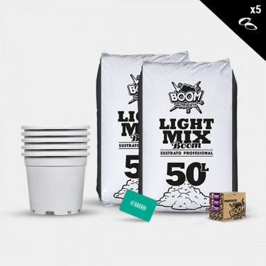 Kit extérieur féminisées