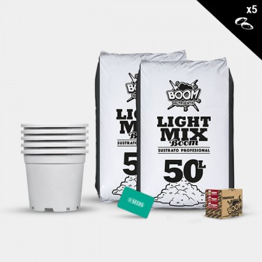 Kit extérieur féminisées