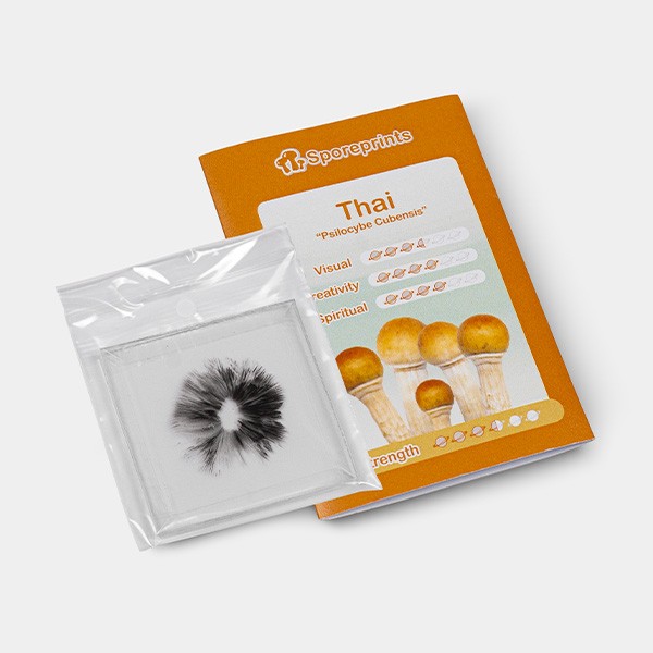 Empreinte de Spores variété Thai