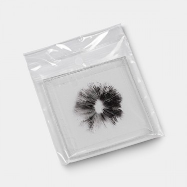 Empreinte de Spores Thai sous vide