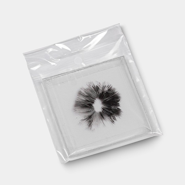 Empreinte de Spores Thai sous vide