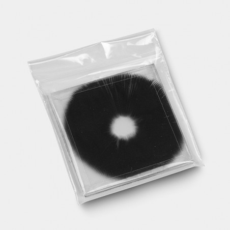 Empreinte de spores Mazatapec sous vide