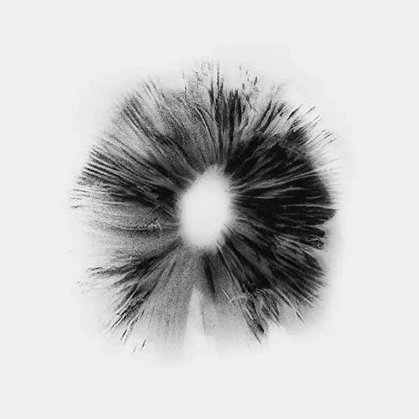 Voir Empreinte de Spores Thai