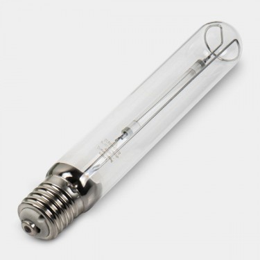 Ampoule SunMaster Dual Lamp Mixte détail