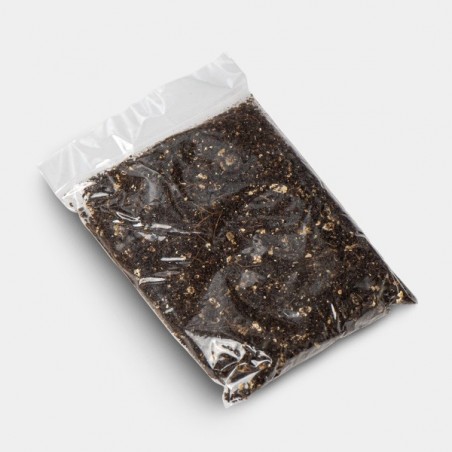 Kit de culture de champignons magiques Jack Frost