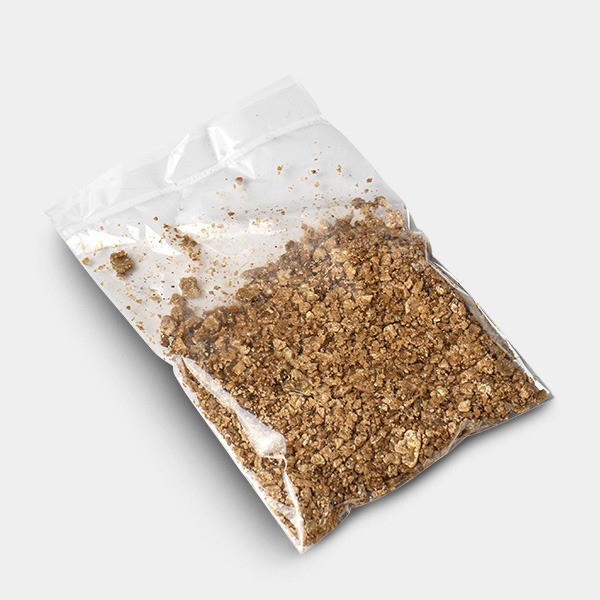 Kit Golden Teacher Mushrooms | Rendement élevé ✅