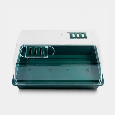 Mini-serre en plastique rigide