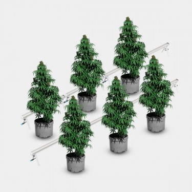 Under Canopy LED 120W Solux plantes