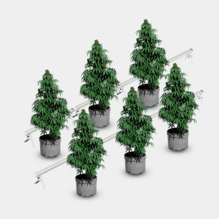 Under Canopy LED 120W Solux plantes