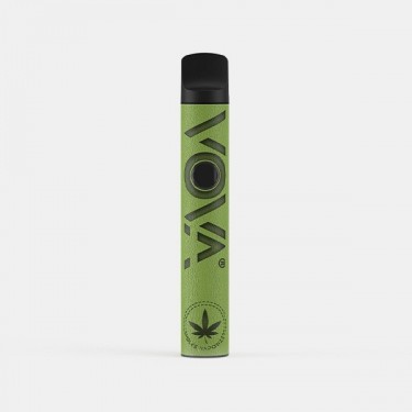 VOVA Volks steamer portable - GB The Green Brand