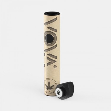 VOVA Volks steamer portable - GB The Green Brand