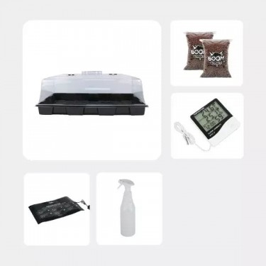 Kit d’autoculture de Champignons Magiques