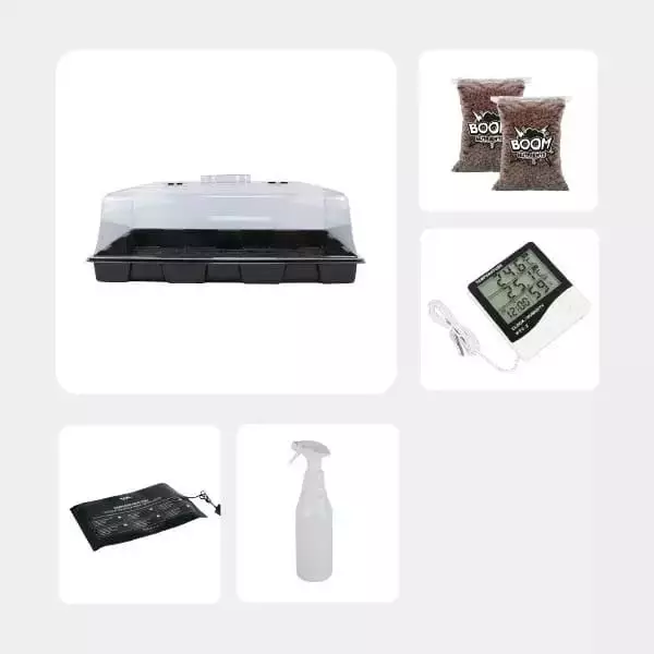 Voir Kit d’autoculture de Champignons Magiques