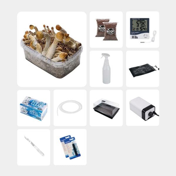 Kit complet pour études mycologiques Mexicana