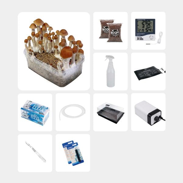 Kit complet pour études mycologiques McKennaii