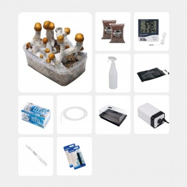 Kit complet pour études mycologiques B+